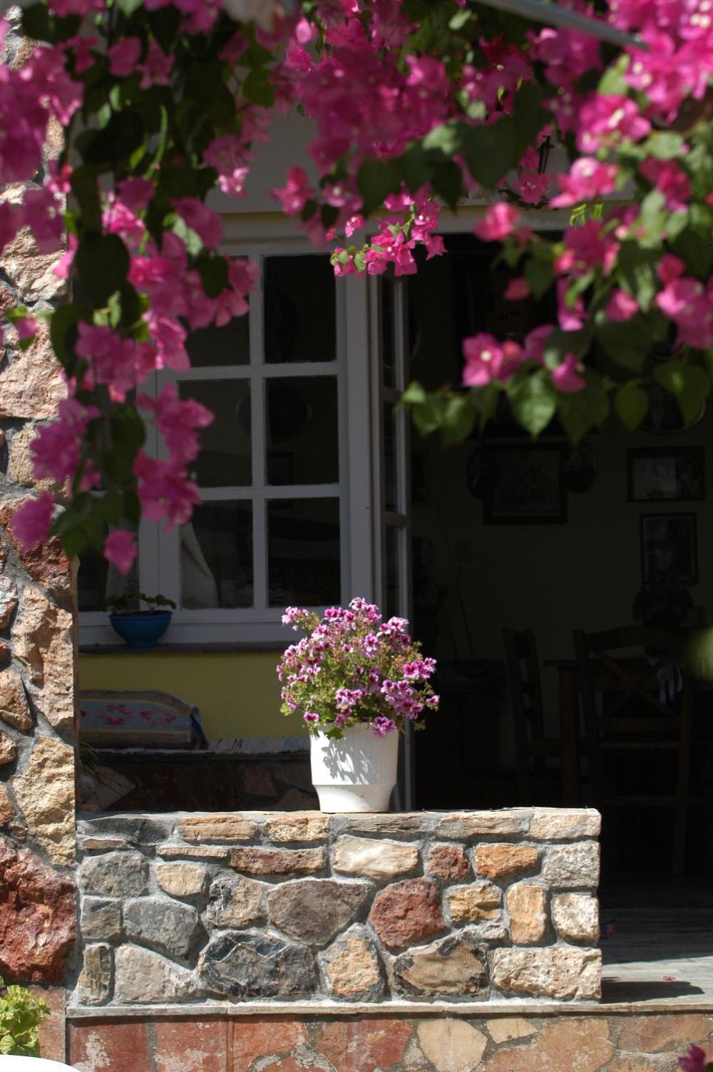 Myrties Boutique Apartments Екстериор снимка